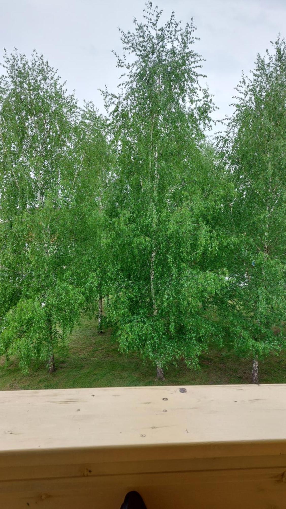 Apartamentai Gertruda Druskieniki Zewnętrze zdjęcie
